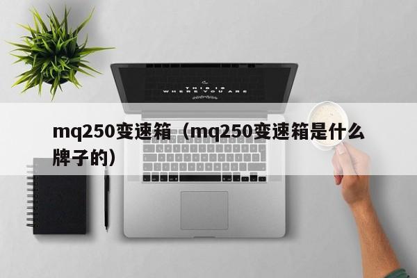 mq250变速箱（mq250变速箱是什么牌子的）