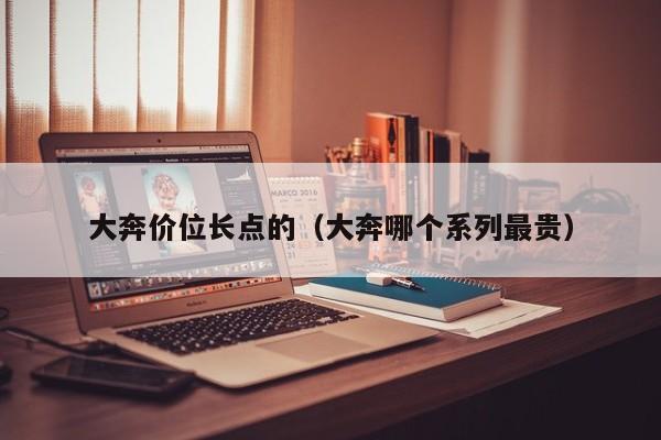 大奔价位长点的（大奔哪个系列最贵）