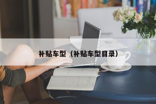 补贴车型（补贴车型目录）